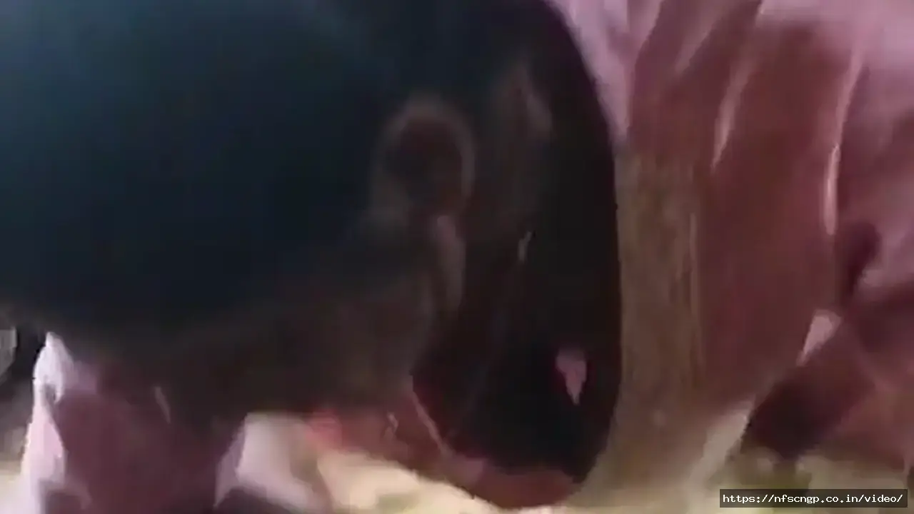 Giving Money To Bihari Randi, 2 Young Boys Have Threesome Sex