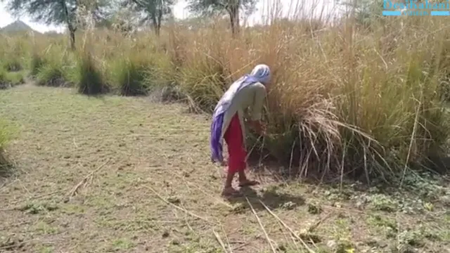 Watch I Fucked Lugai By Turning Her Into A Mare In The Field