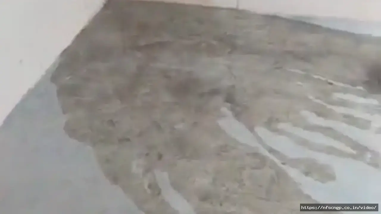 Thumbnail for Tamil aunty's ass then sucked cock and fucked smooth pussy