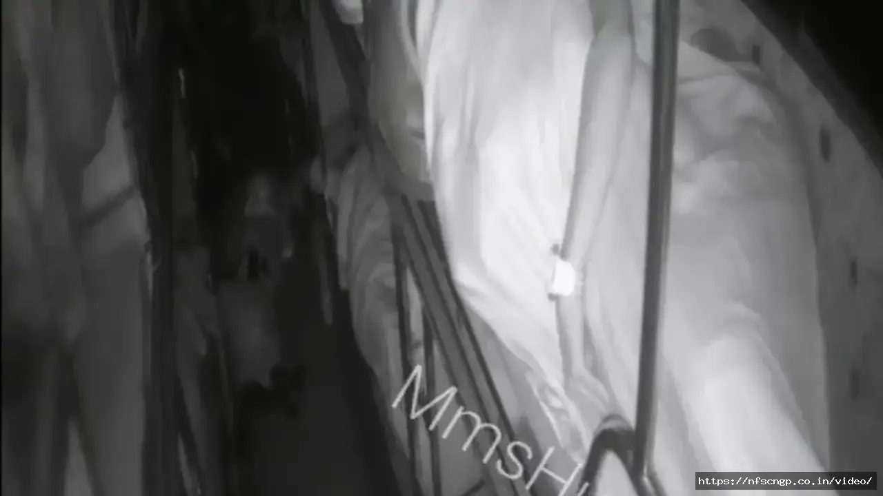 Watch Viral Train Sex Of Horny Couple Having Fucking In A Moving Train